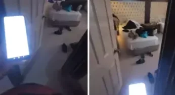 Kadın Müşteriyi Kayda Alıp “Hiçbir Şey Giymemiş” Notuyla Paylaşan Kuryeye Tepki Yağıyor